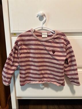 Zara Pink & Burgundy Striped Long Sleeve Top
